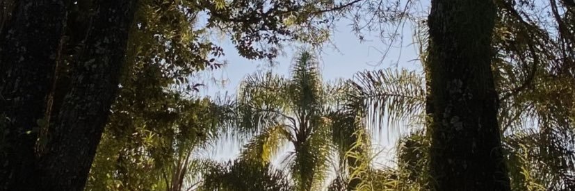 jacksonmax_'s profile banner image