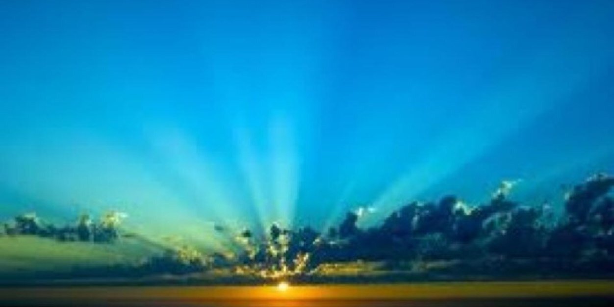 Art Vandelay 🇺🇸 banner