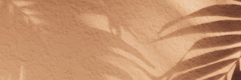 Lilly_Albritton's profile banner image