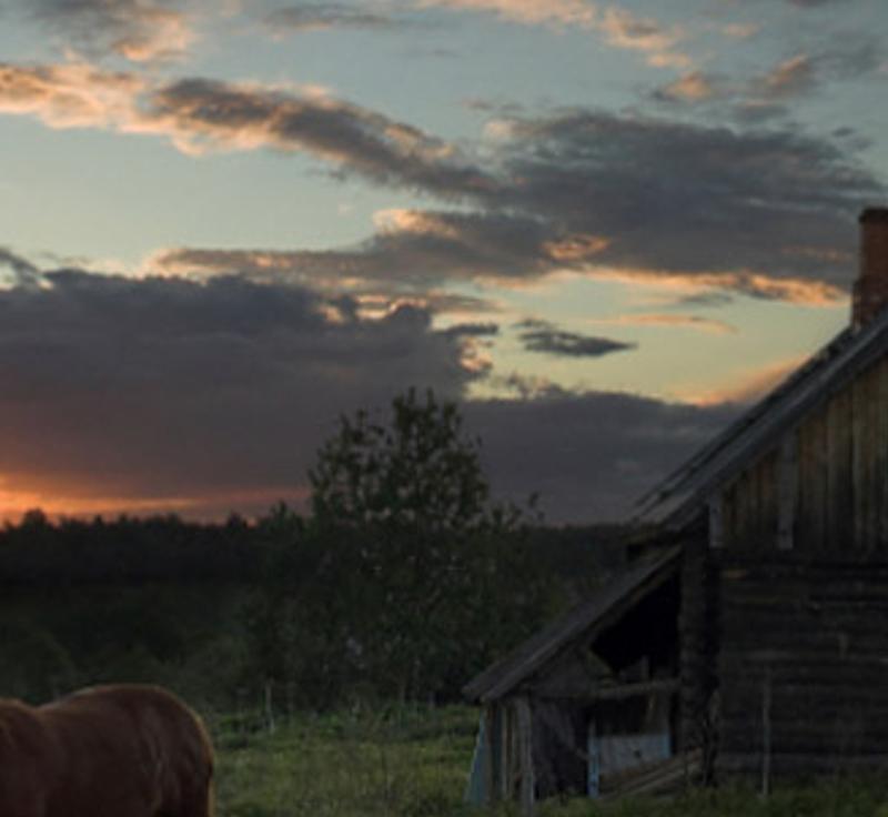 dedycabll's profile banner image