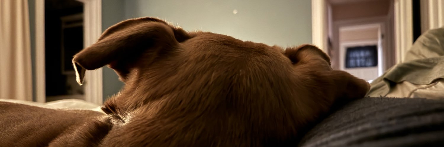 breanburrito's profile banner image