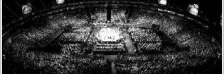 Alexis Davis banner
