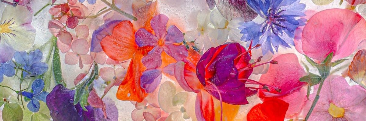 aprilcq's profile banner image