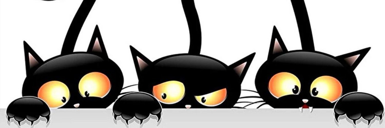 wllcstwrt's profile banner image