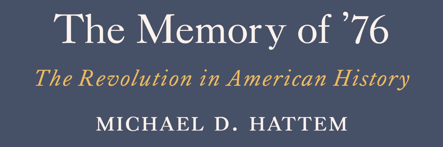 Michael Hattem banner