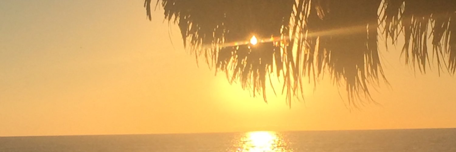 nic_guindon's profile banner image