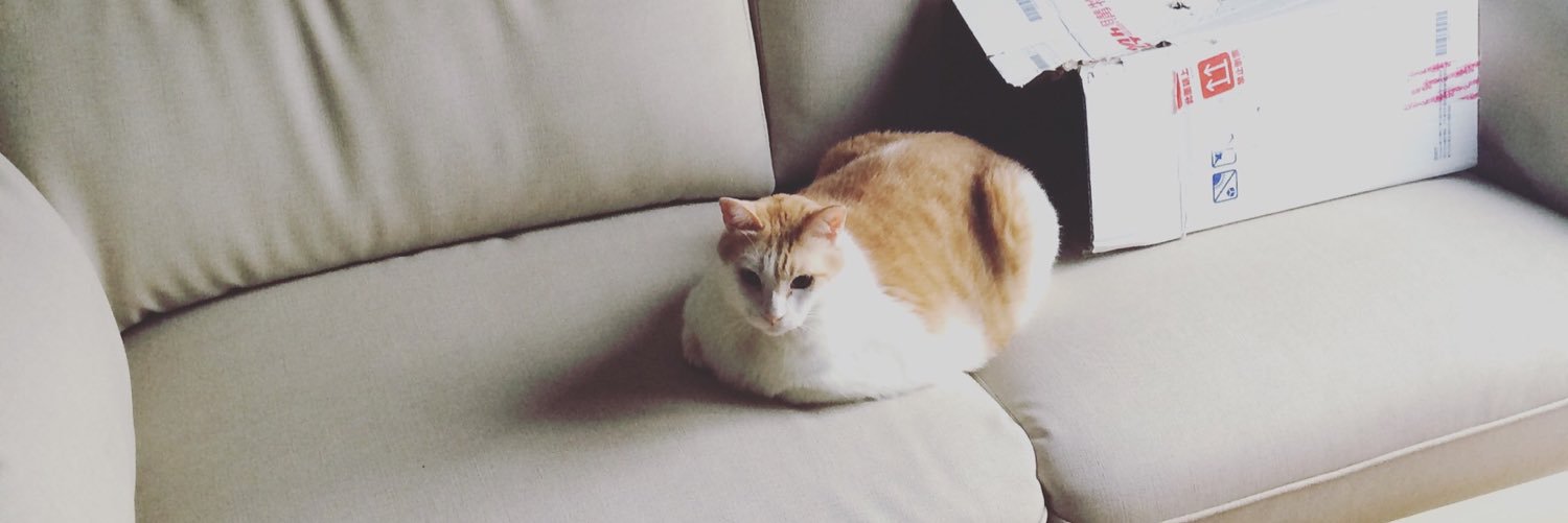Fumeancats's profile banner image