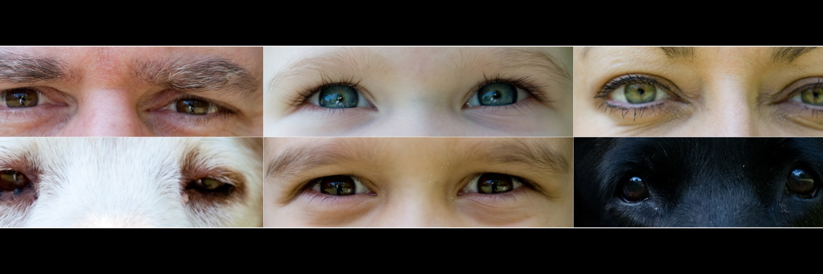 jackie_russo's profile banner image