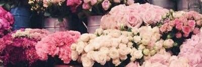 pink_looly_vip's profile banner image