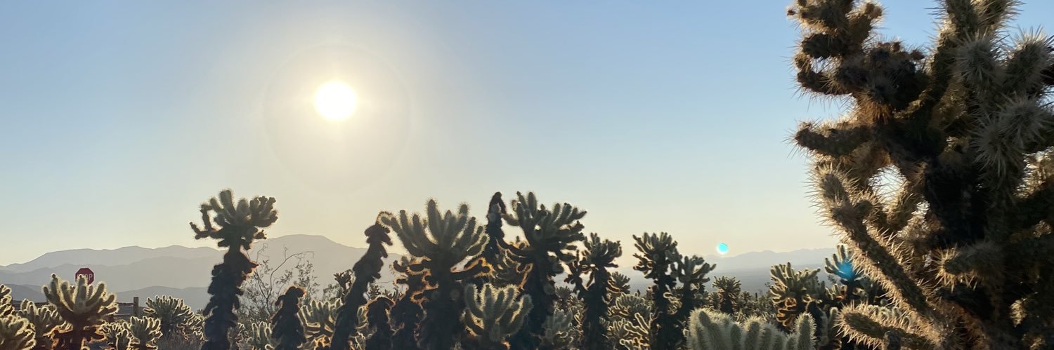 b_shea95's profile banner image