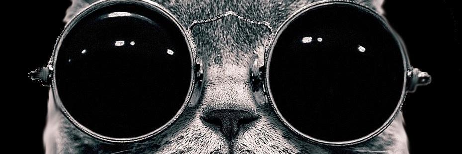 flooogonzalez's profile banner image