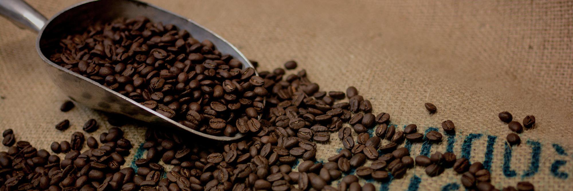 macbeanscoffee's profile banner image
