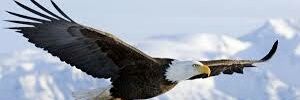Manuelayala6's profile banner image