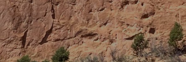 sinkingfoster Profile Banner