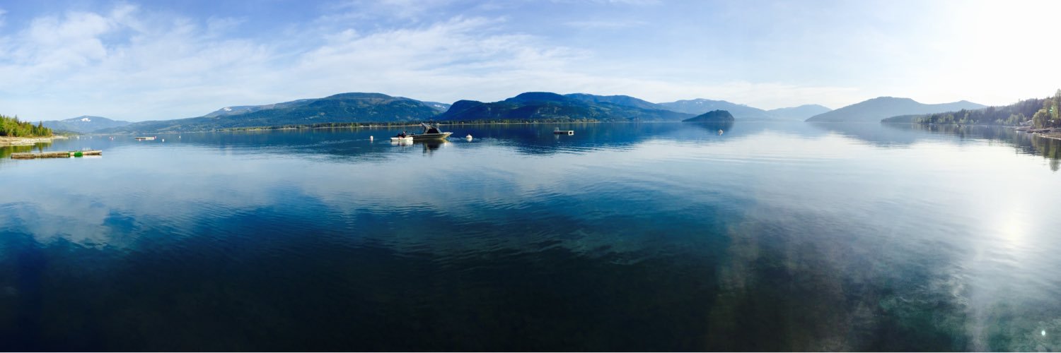 Rebecca Scott banner