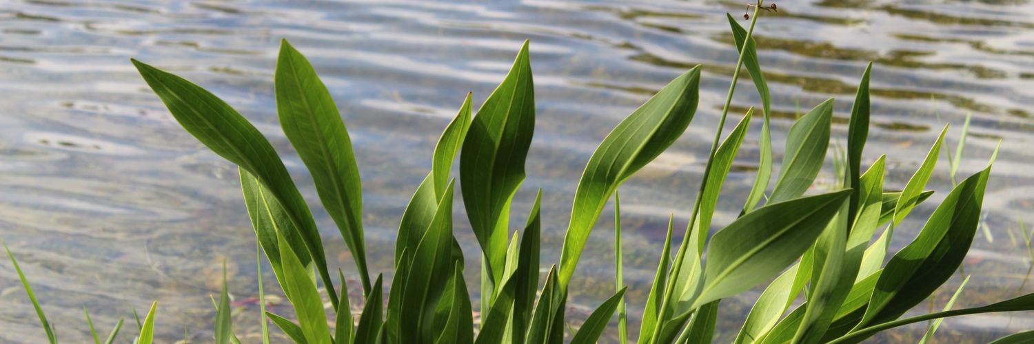 elleeccentric's profile banner image
