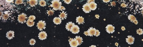 Danielameza's profile banner image