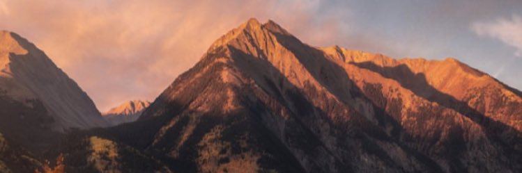 tarocard's profile banner image