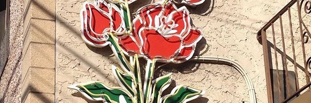 sarahhnav's profile banner image