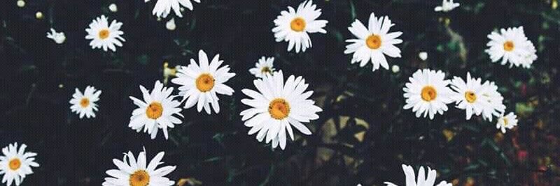 aadalgizam's profile banner image