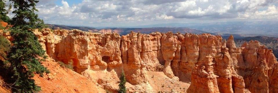 Brenda_Milum's profile banner image