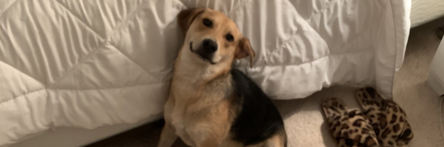 melliejayy's profile banner image
