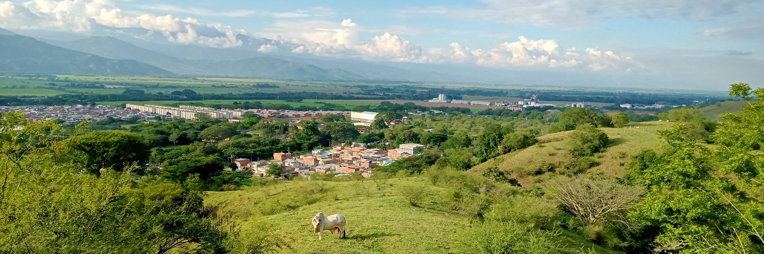 César Collazos Rico banner