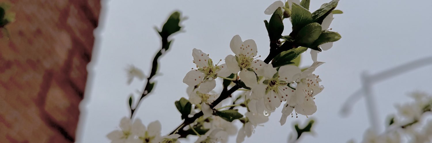jenrinyc's profile banner image