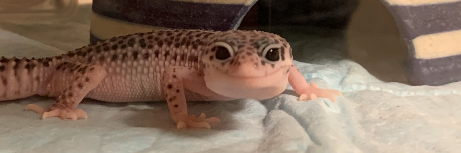 うなぼーん banner