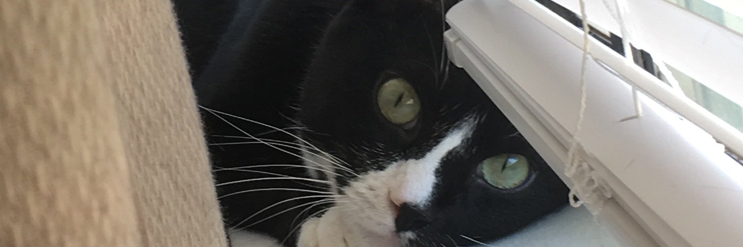 Laggerzzz's profile banner image