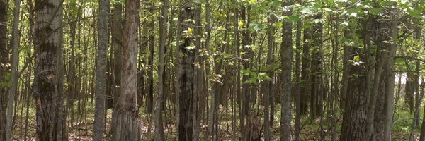 BBJRanter Profile Banner