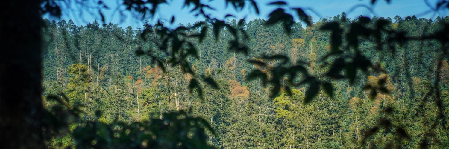 Multiesman's profile banner image