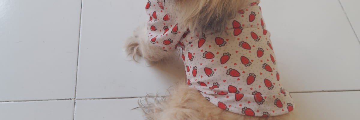 behjan2189's profile banner image