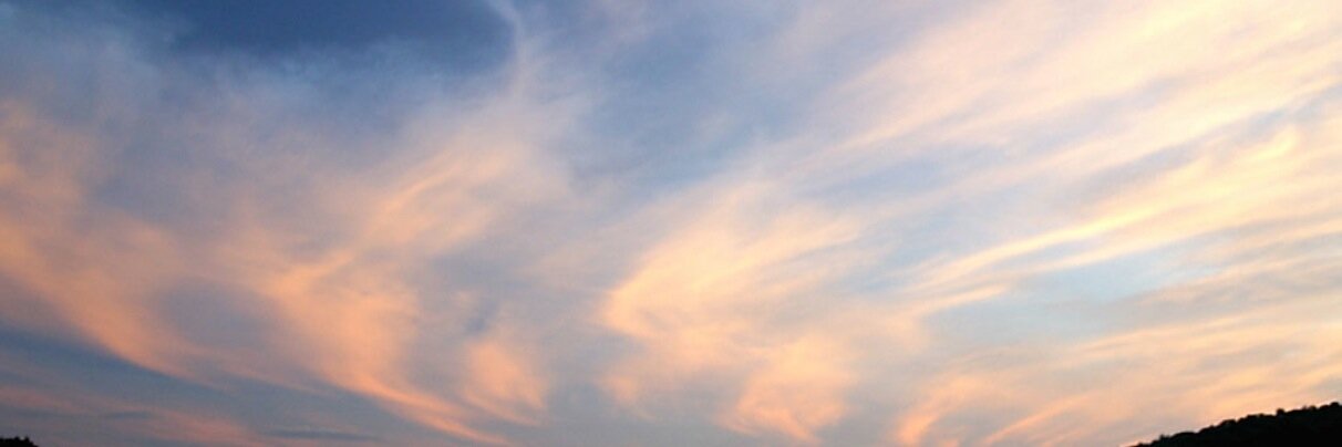 Jamie McConnell banner