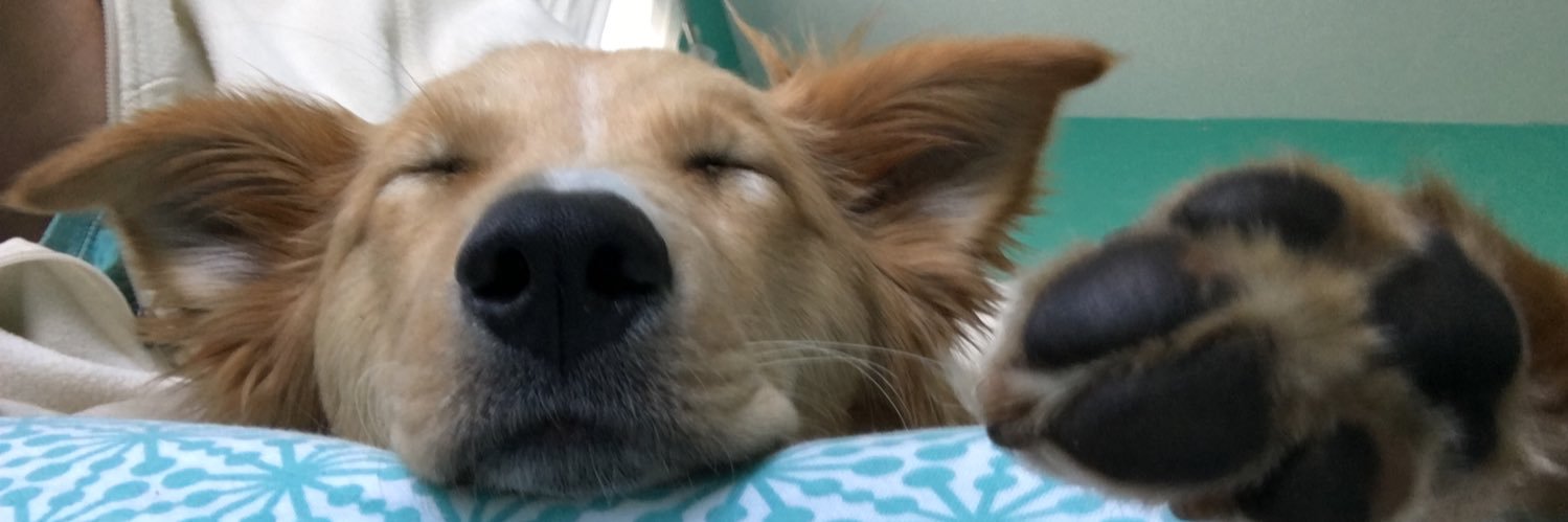 oliviaa_boydd's profile banner image