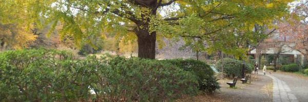 malky_malky Profile Banner