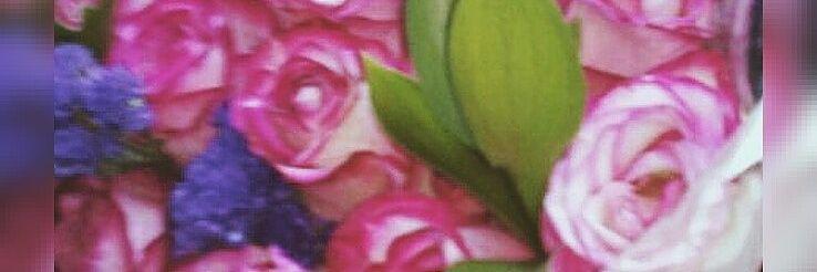 Victoriavital4's profile banner image