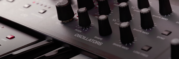 David Gibbons banner