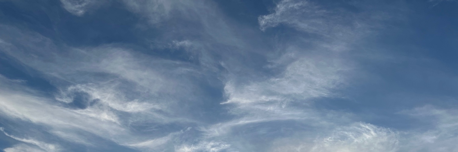 mf_online's profile banner image
