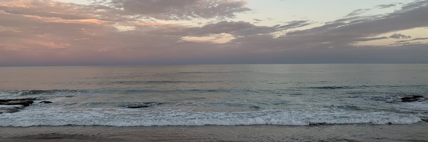 RL banner