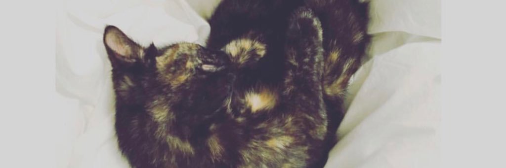 michellebellas_'s profile banner image