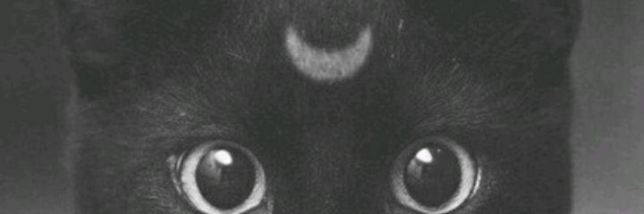 dfarley182's profile banner image
