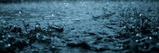 MR. ELEGANCIA banner