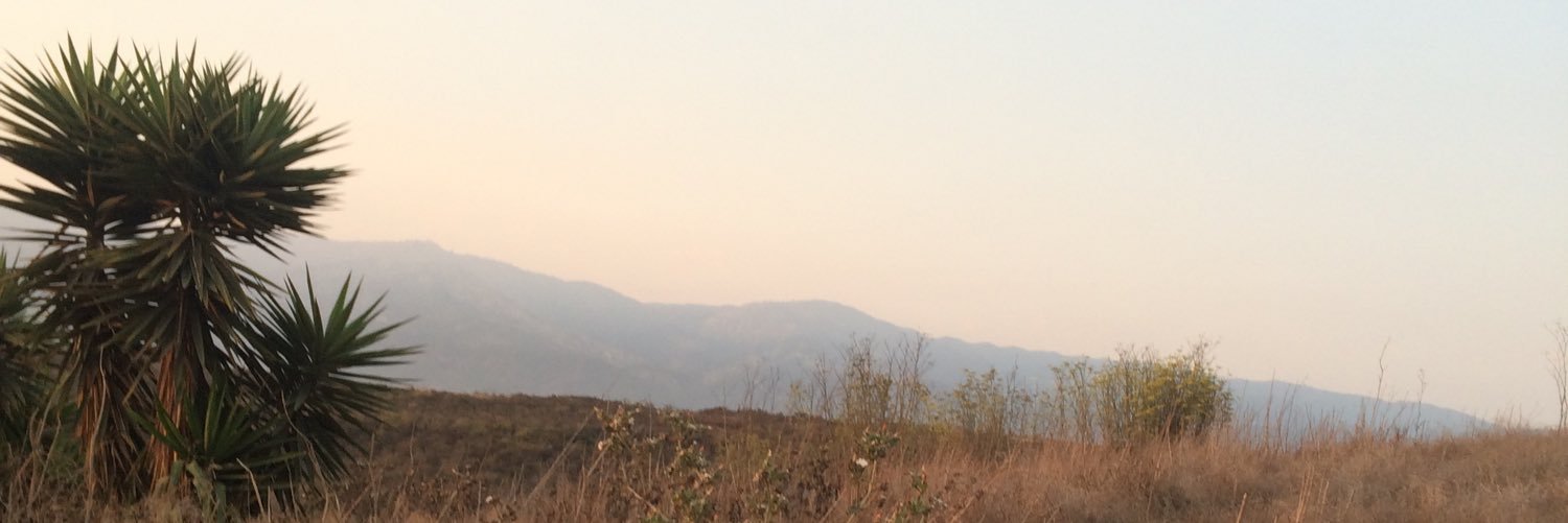 jilloceraptor's profile banner image
