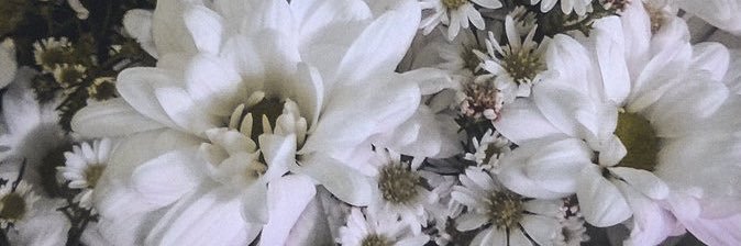 umaaaaayx's profile banner image