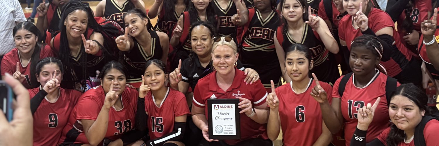 Samantha Hall banner