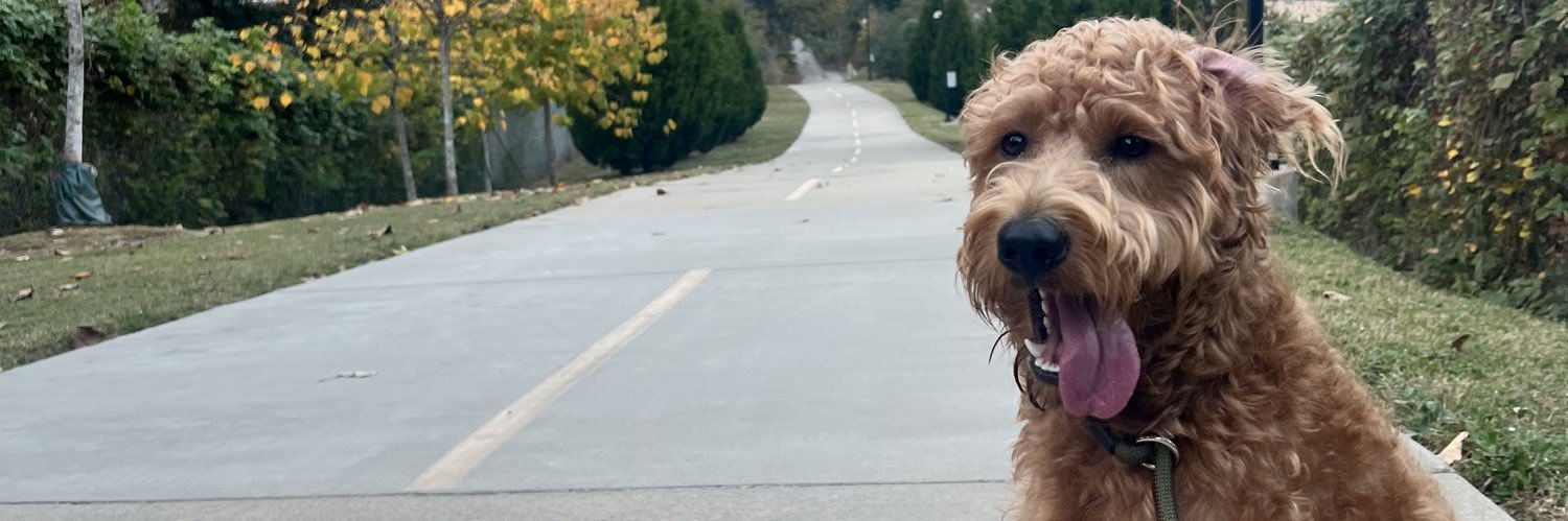 jeanpiz's profile banner image