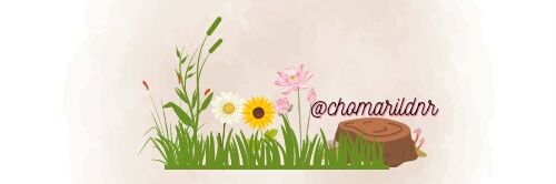 chomarildnr's profile banner image