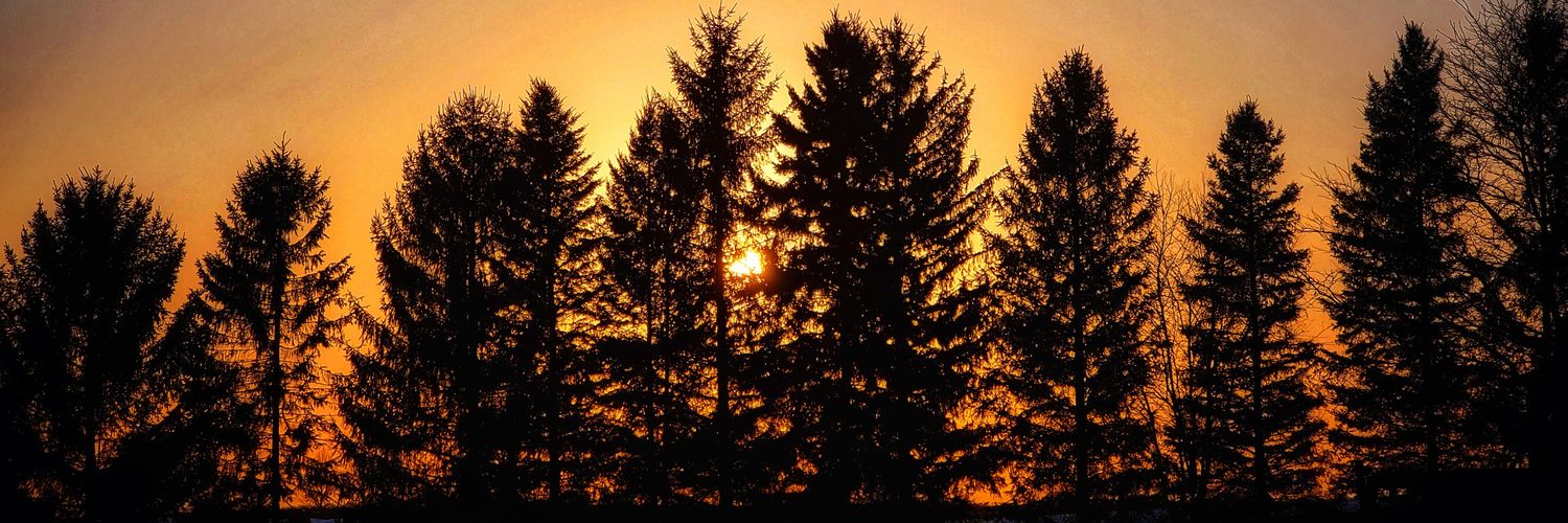 Darrell, not Daryl banner