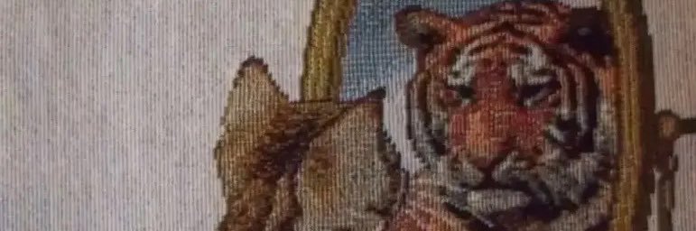 joeratz_'s profile banner image